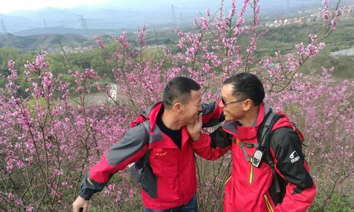 放红色紫荆花的花瓶寓意是什么？红色紫荆花象征着什么？