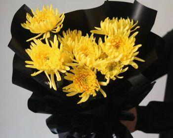 清明节适合送什么花？清明节送花的含义是什么？