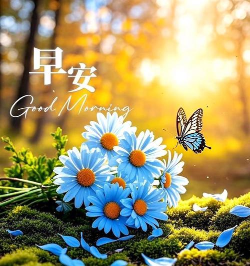 哪种花象征健康快乐？健康快乐花语有哪些？