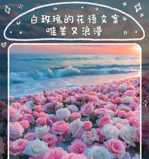 花语浪漫介绍是什么？如何表达浪漫情感？