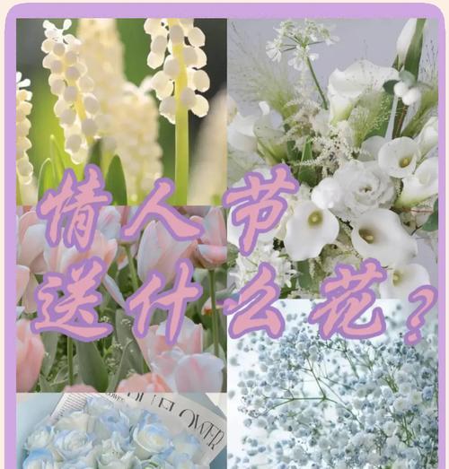 节日送花的花语祝福是什么？如何用花语表达节日祝福？