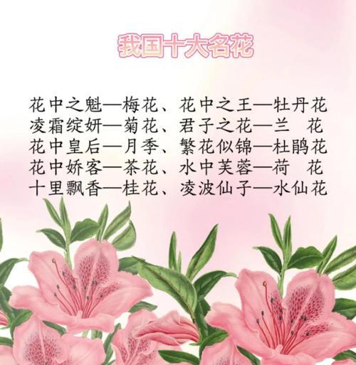 哪些白色的花象征爱情？它们的花语是什么？