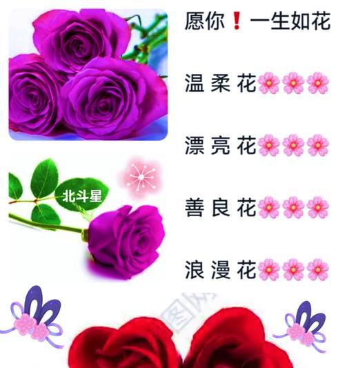 哪种花象征爱情和家庭和睦？爱情家庭和睦的花语是什么？
