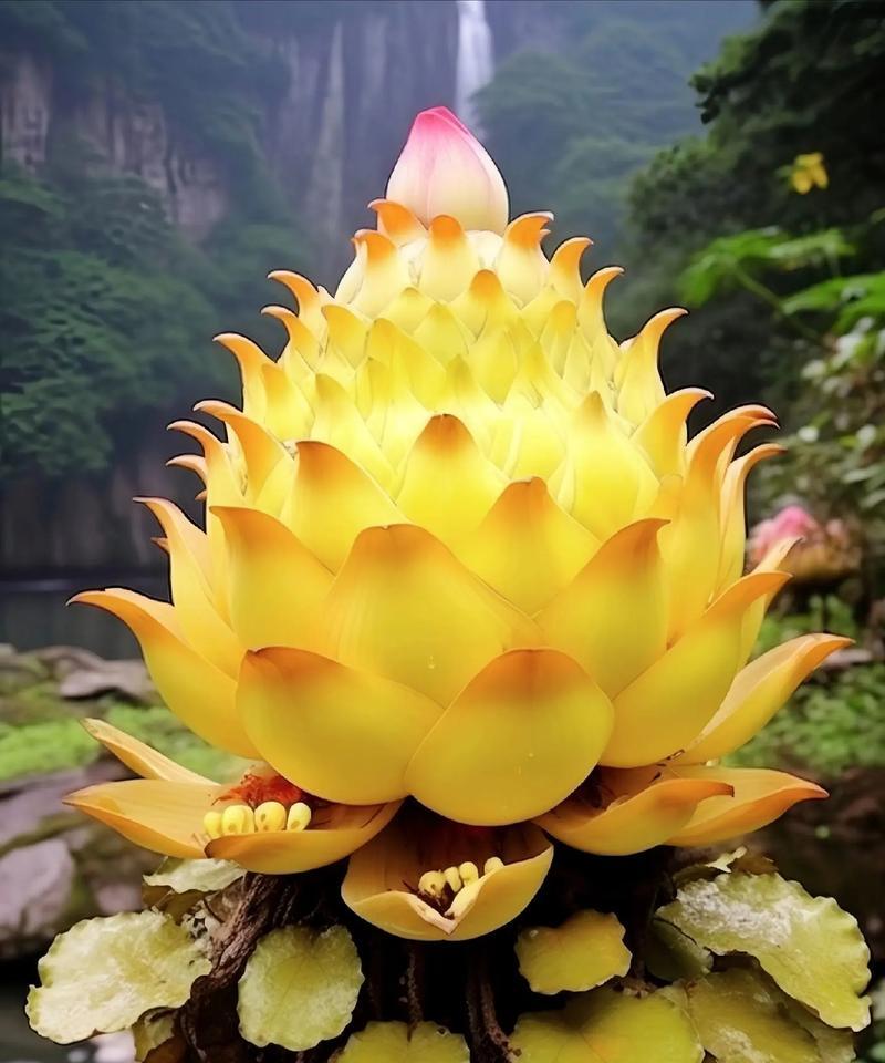 哪种花象征着不拘小节？它的花语是什么？