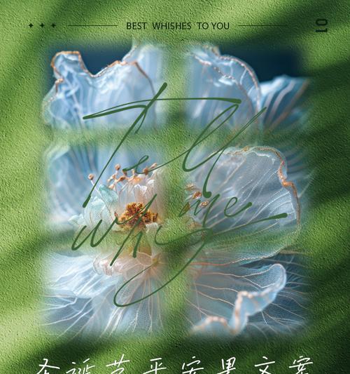 平安果和花的寓意是什么？如何用平安果和花表达祝福？
