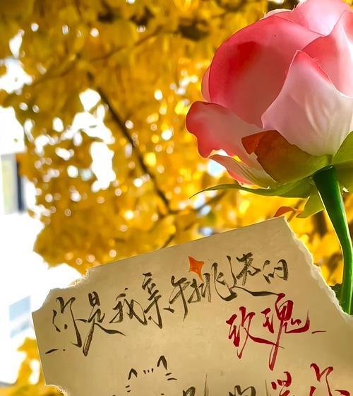 白色爱心代表意义的花有哪些？如何挑选？