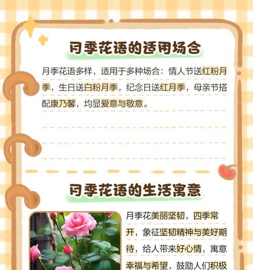 情人节最穷花语是什么？它们的寓意和象征是什么？
