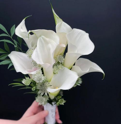 手捧花在求婚时代表什么？高举手捧花的求婚寓意是什么？