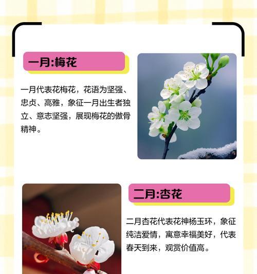 九月开花手捧花寓意着什么？它的象征意义是什么？