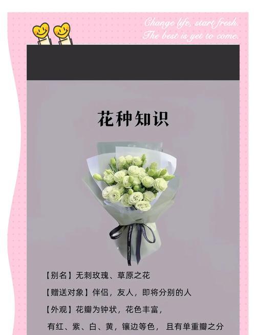 桔梗花的花语和寓意有哪些？