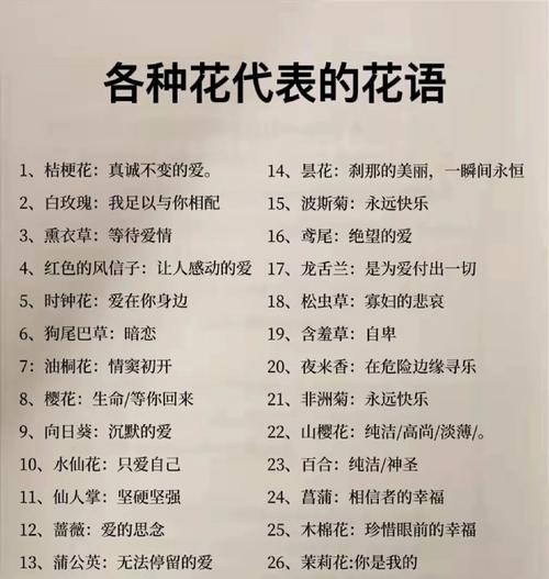 桔梗花的花语和寓意有哪些？