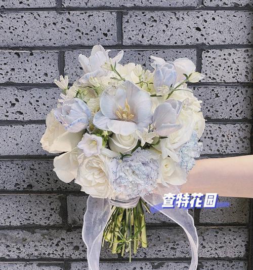 蓝白色花朵的花语是什么？送蓝白色花代表什么意义？
