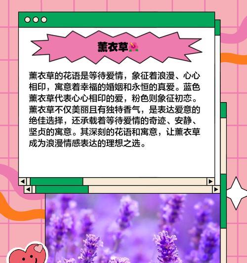 哪些花象征虚假爱情？虚假爱情花语是什么？