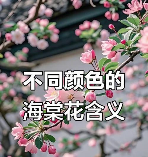 花寓意的颜色有哪些？花寓意的颜色代表什么？