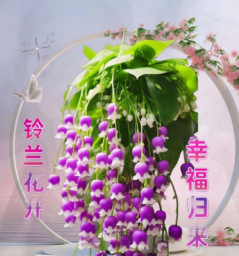 用花语如何表达幸福？哪些花语代表幸福？