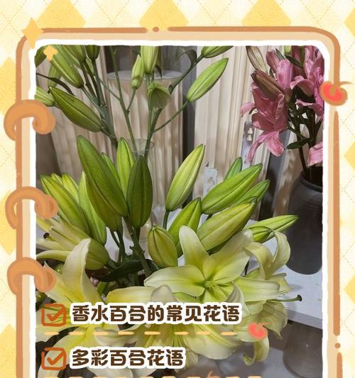 春节送百合花代表什么？它的寓意是什么？