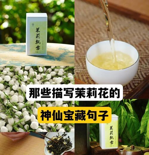 花的寓意有哪些？吉祥语句大全是什么？