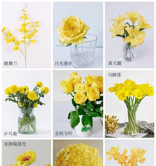 哪些花材象征富贵？富贵寓意的花材有哪些特点？