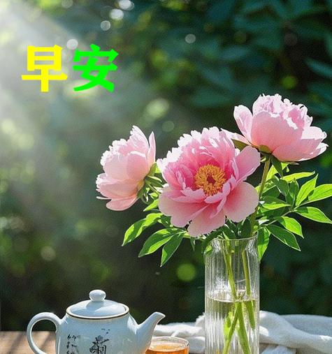 花含有祝福的含义吗？花卉与祝福语的关联是什么？