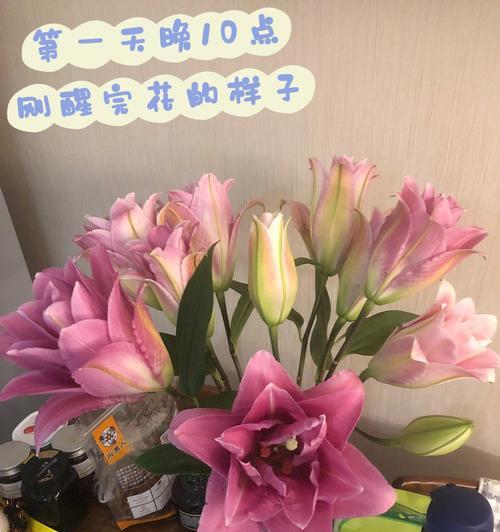 十三朵粉色百合花代表什么？百合花的寓意有哪些？