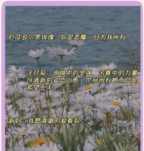 在意细节的花语有哪些？如何通过花语表达关注细节？