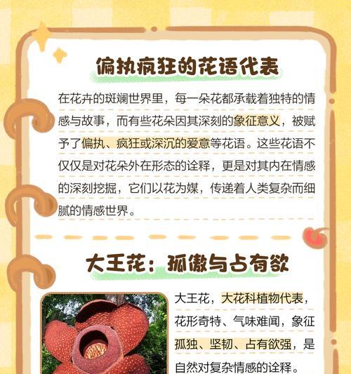 什么花寓意强烈的疯狂爱情？疯狂爱情有哪些象征？