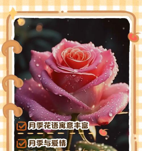 红色花象征光明和火焰吗？它们在花语中代表什么？