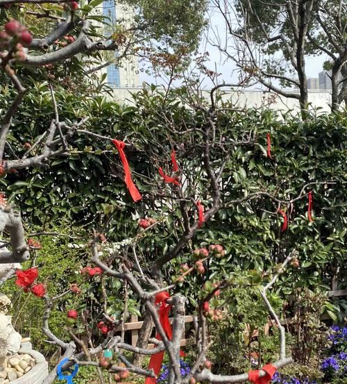 花朝节象征着什么？花朝节有哪些传统意义？