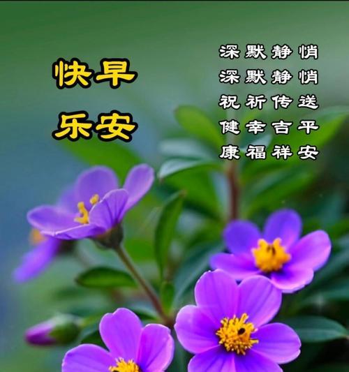 哪些花象征平安？平安的花语有哪些？