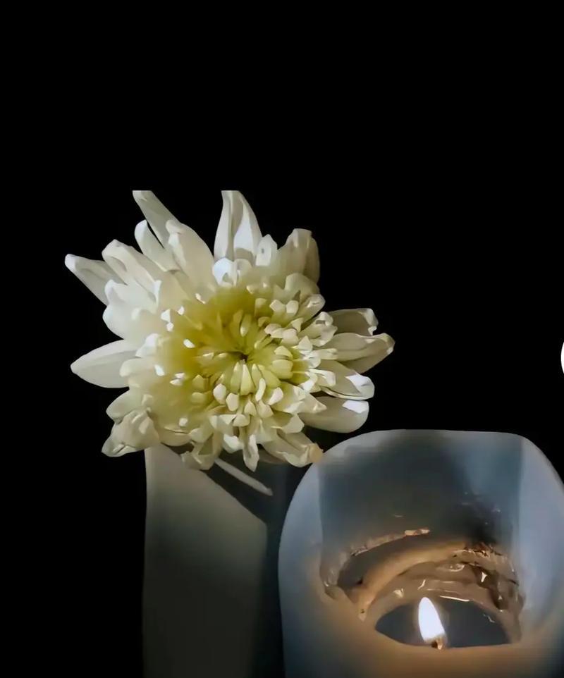 古代节哀的花有哪些？这些花的寓意是什么？