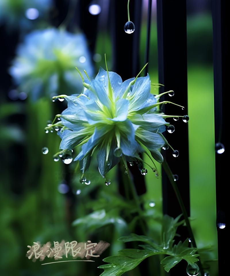 绿色花象征思念吗？它们的寓意是什么？