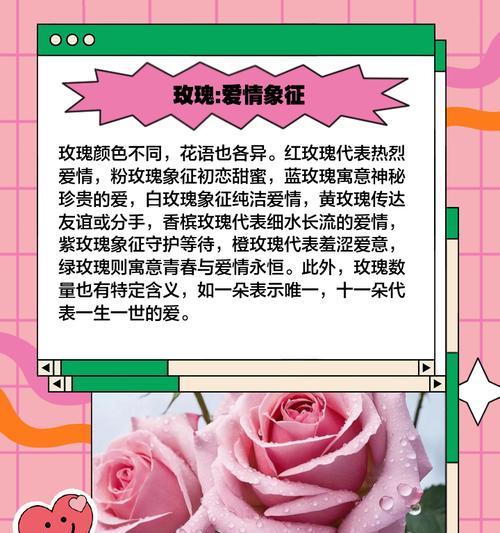 种花有哪些浪漫的花语？如何用花表达浪漫？
