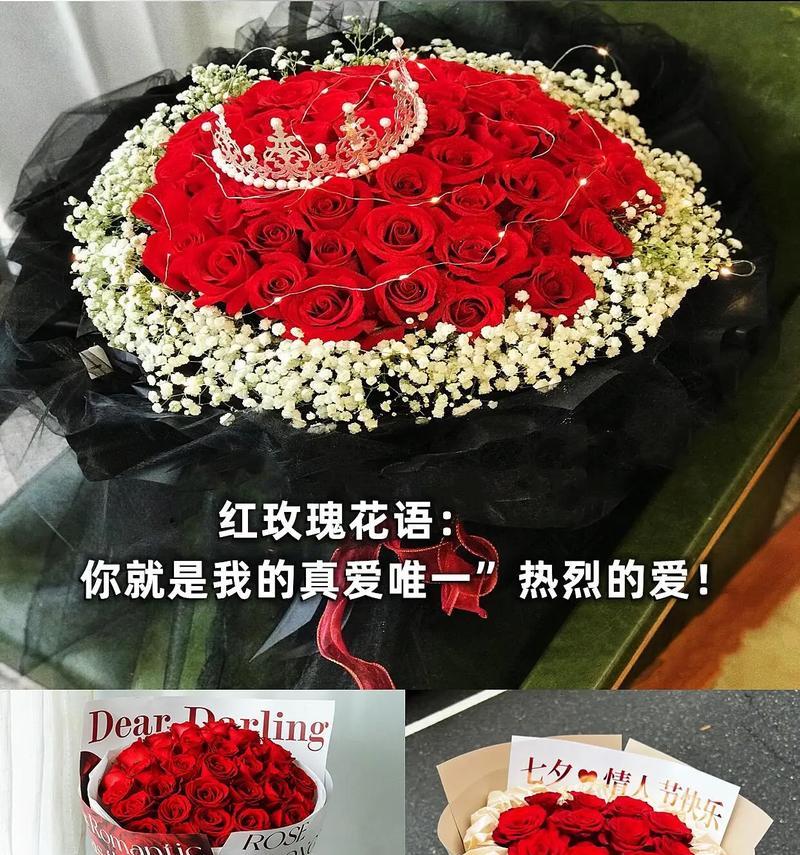 玫瑰花不同花色各有什么寓意？