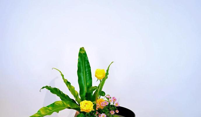 花艺中颜色的象征意义是什么？每种颜色代表了什么？