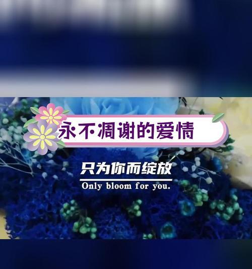 永生花象征着什么？它在爱情中扮演什么角色？