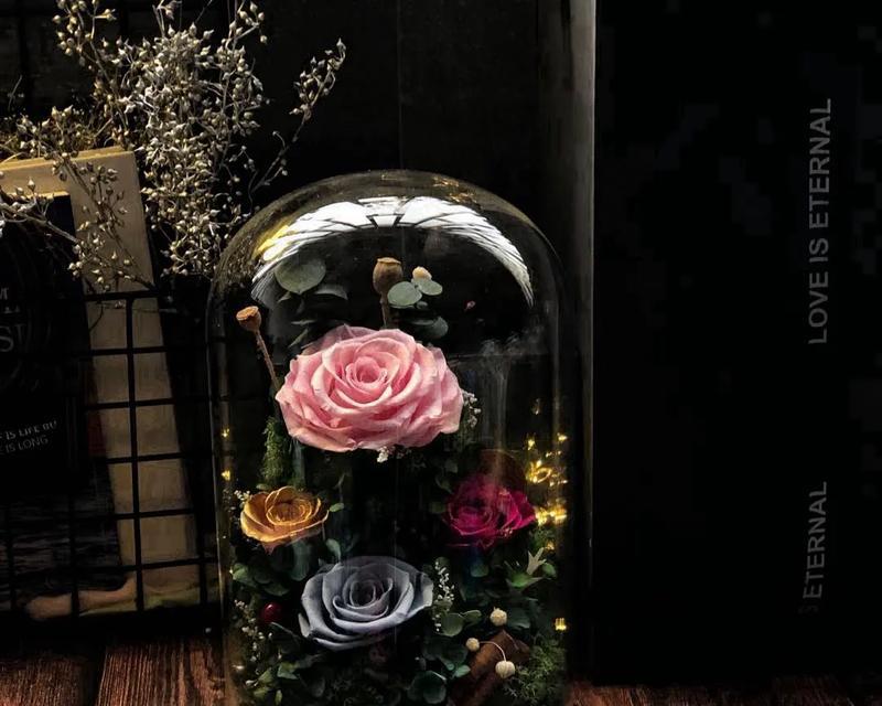 永生花象征着什么？它在爱情中扮演什么角色？