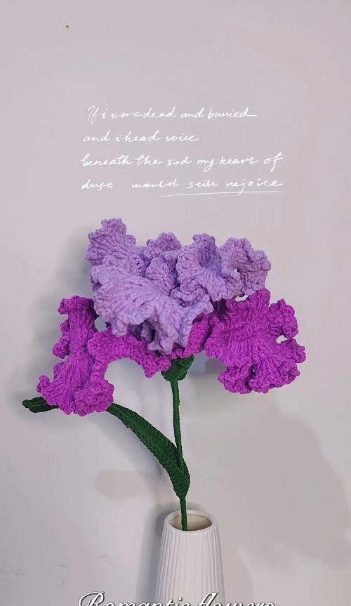紫色花朵代表什么？开紫色花的寓意是什么？