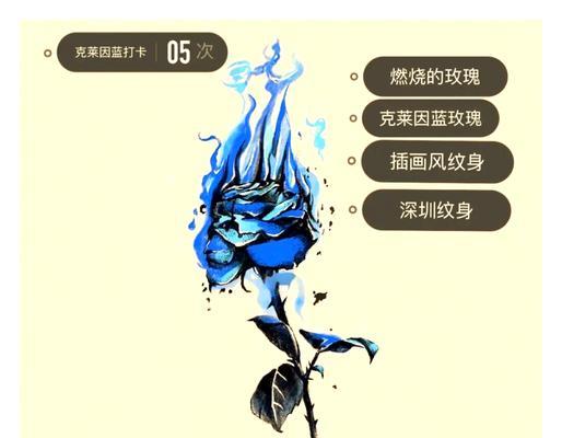 克莱因蓝色花代表了什么？它的花语有何特别之处？