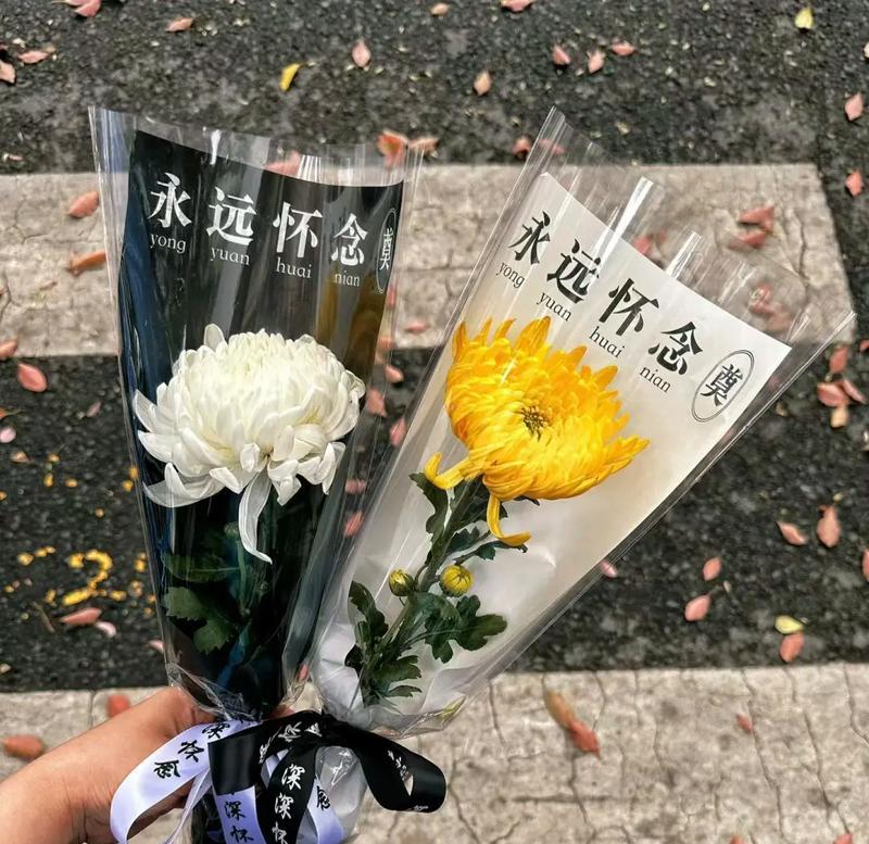 有节哀寓意的花是什么花？哪种花象征哀悼？