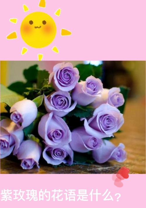 节约的花语是什么？节约花语代表什么？