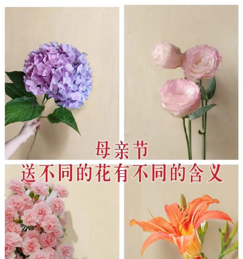 母亲节的花的意思和寓意是什么？选择哪种花最合适？