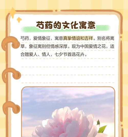 哪种花寓意爱情？如何用花表达爱情的寓意？