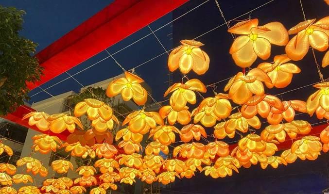 海南换花节的起源及其文化意义是什么？