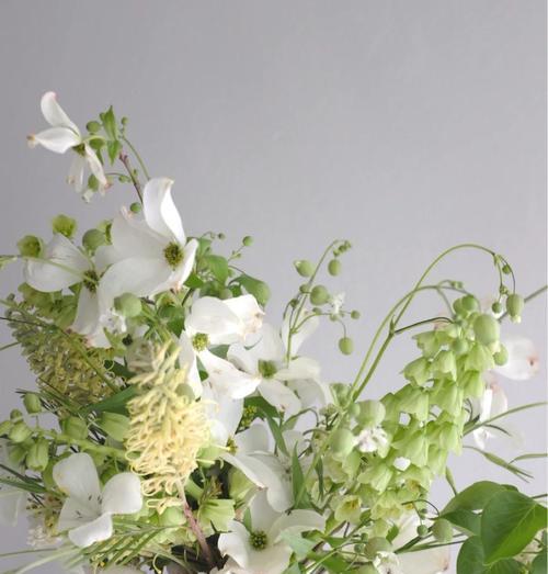 手捧花中大花与小花各自代表什么？