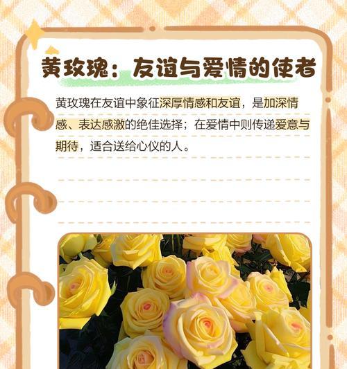 淡黄色玫瑰花代表什么？淡黄色玫瑰的花语有哪些？