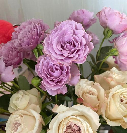 银色花代表什么？银色花的寓意是什么？