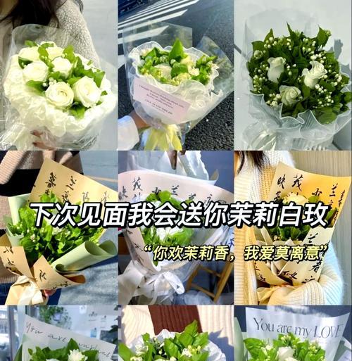 手捧珍爱玫瑰代表什么？它的花语含义是什么？