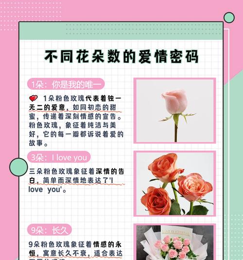 手捧珍爱玫瑰代表什么？它的花语含义是什么？