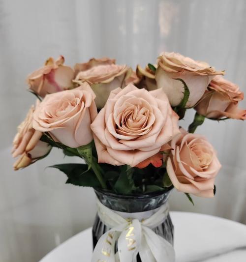 权杖手捧花代表什么？情人节送花的花语有哪些？