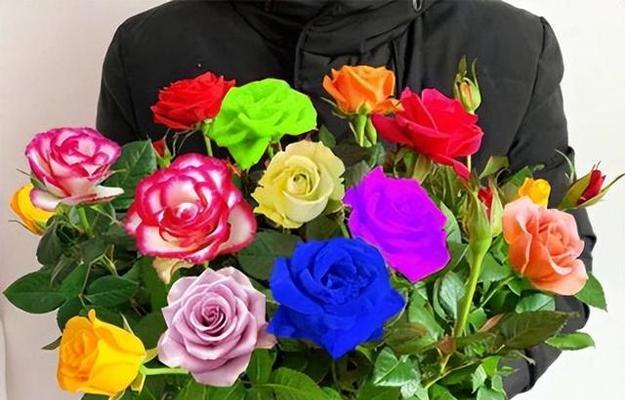 三支不同颜色的花代表什么？
